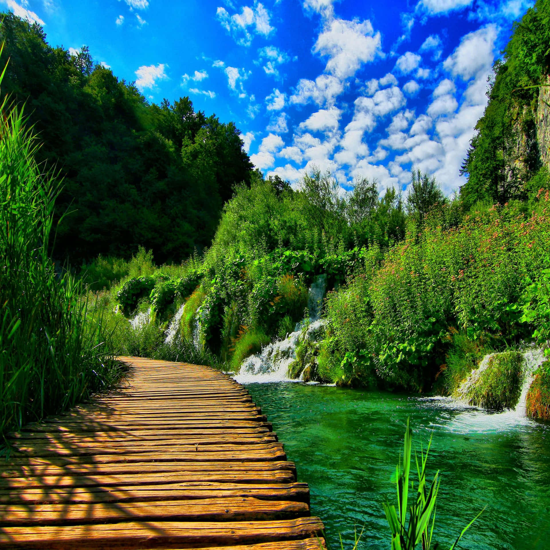 Green Nature Of Crotia