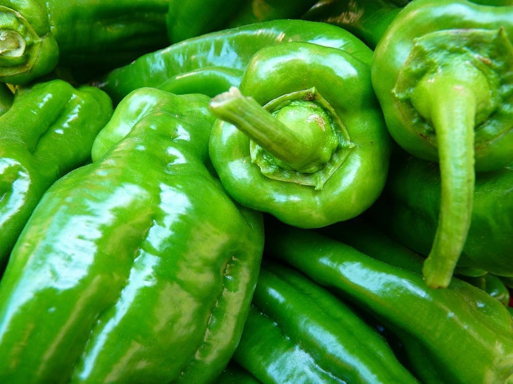 Green Pepper Fruits Pile Extreme Close Up Background