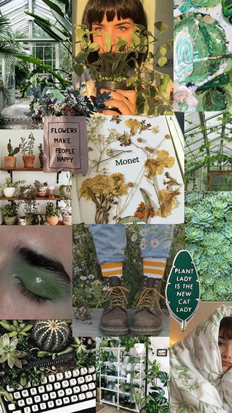 Green Plant Aesthetic Collage Background