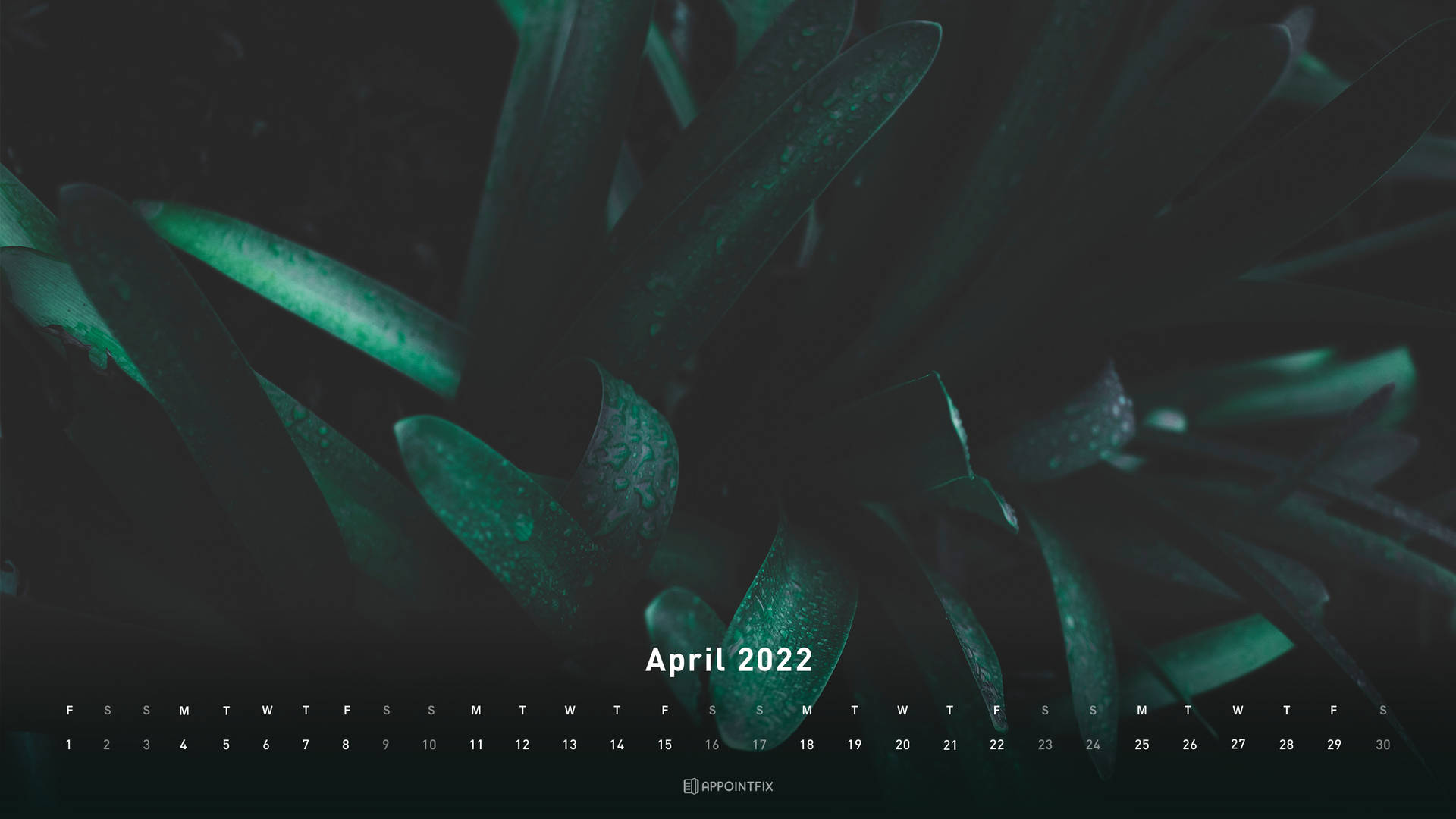 Green Plant April 2022 Calendar