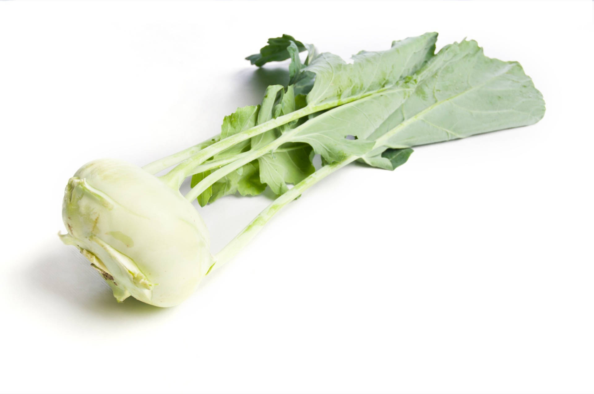 Green Plant Kohlrabi Background