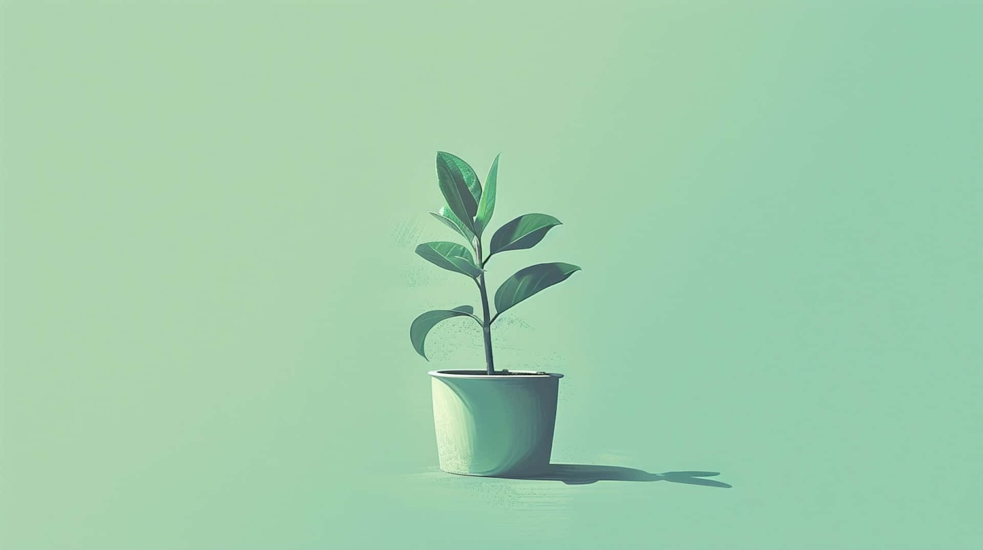 Green Plant Minimalist Aesthetic.jpg Background