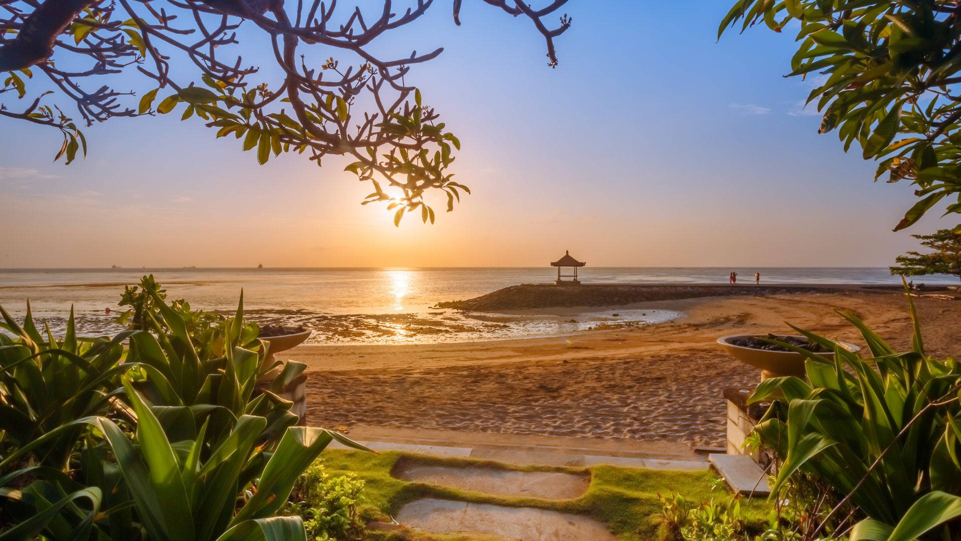 Green Plants Garden On Beach Sunrise Background