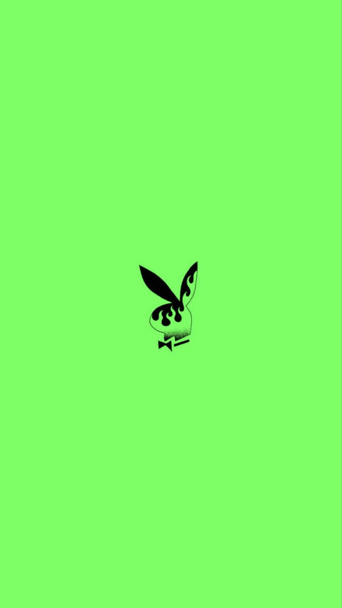 Green Playboy Bunny Background