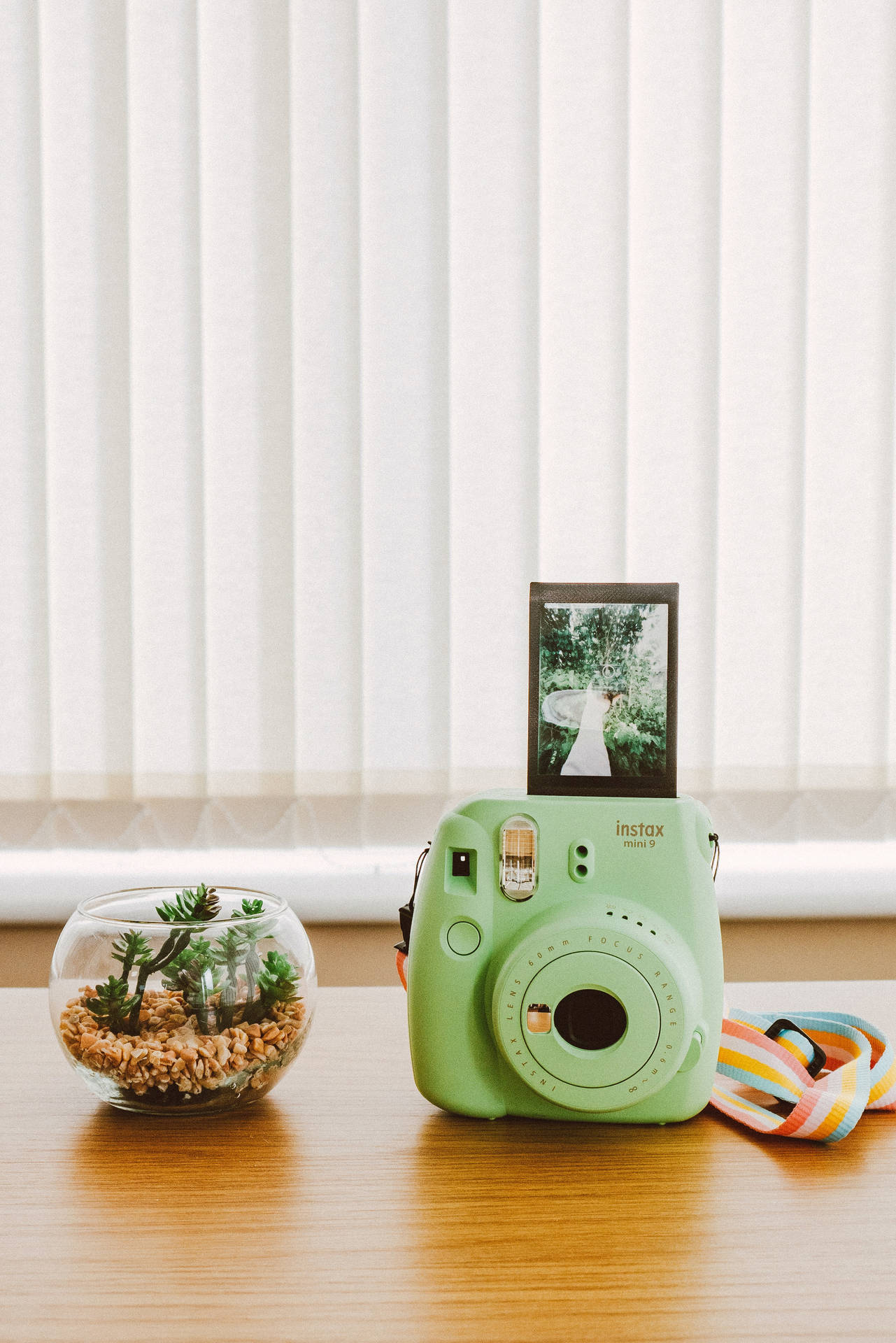 Green Polaroid Instax Camera Background