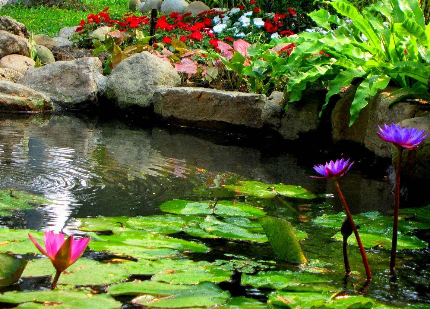 Green Rippling Pond Background