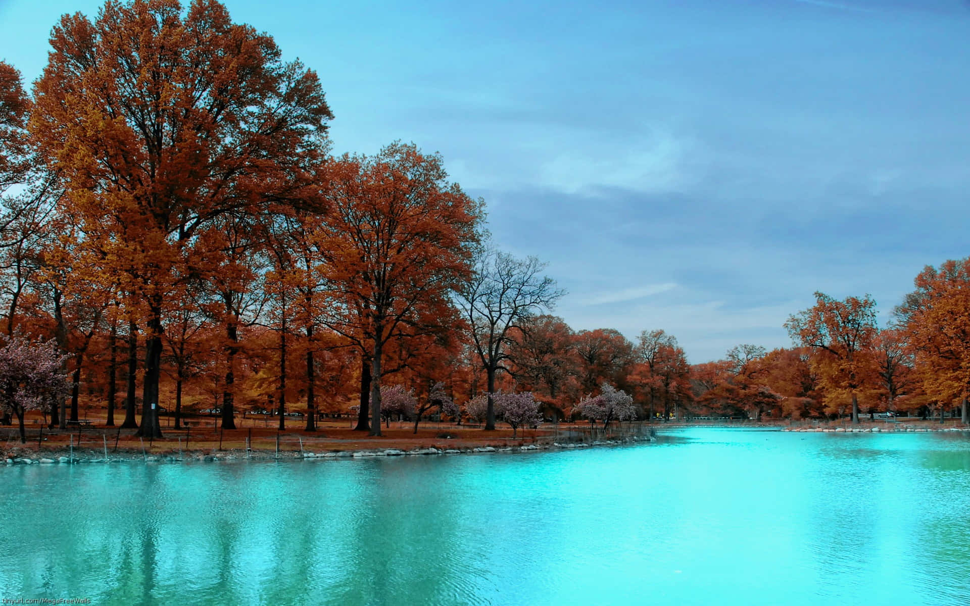 Green River Autumn Trees Nature Photography Background