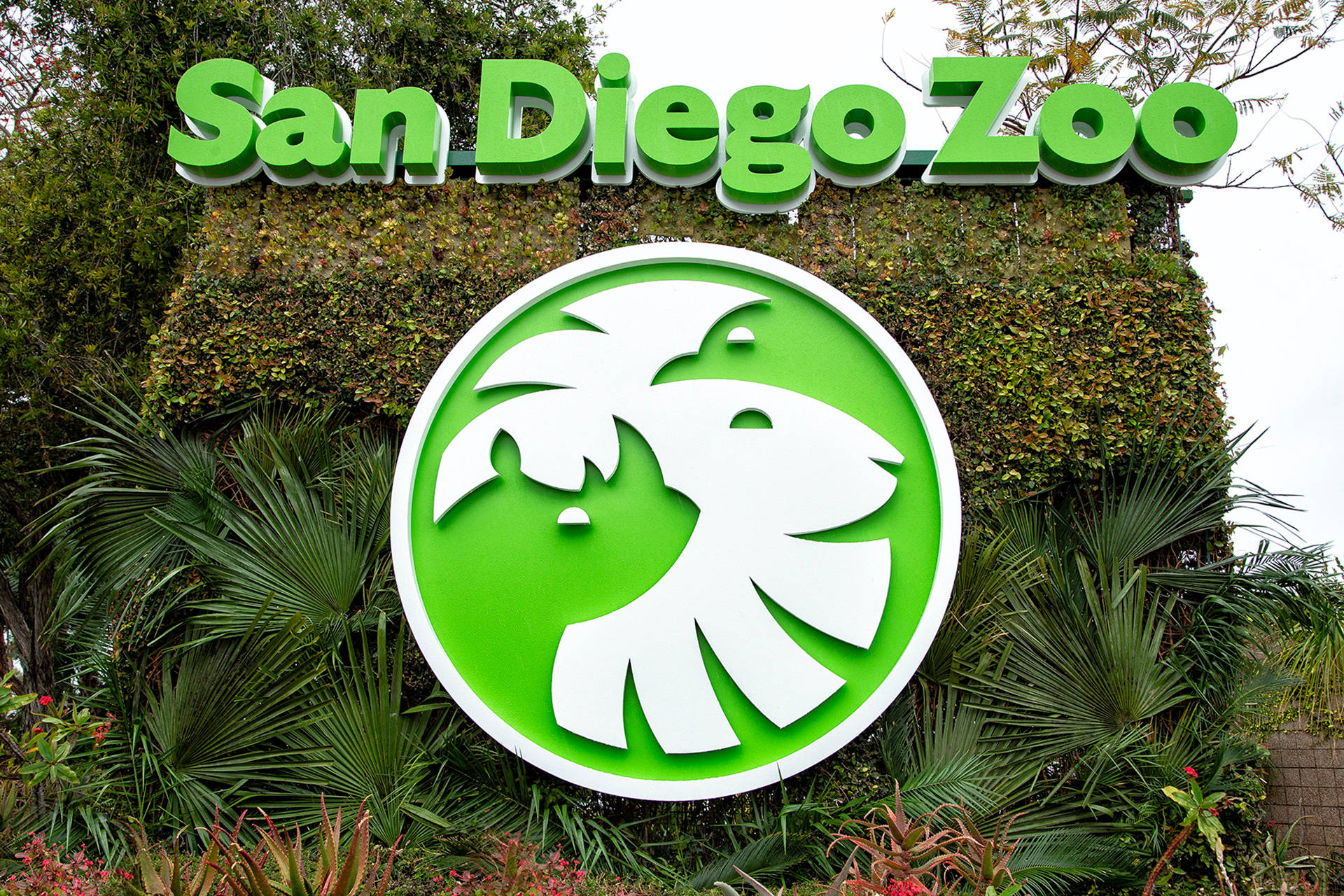 Green San Diego Zoo Sign Background