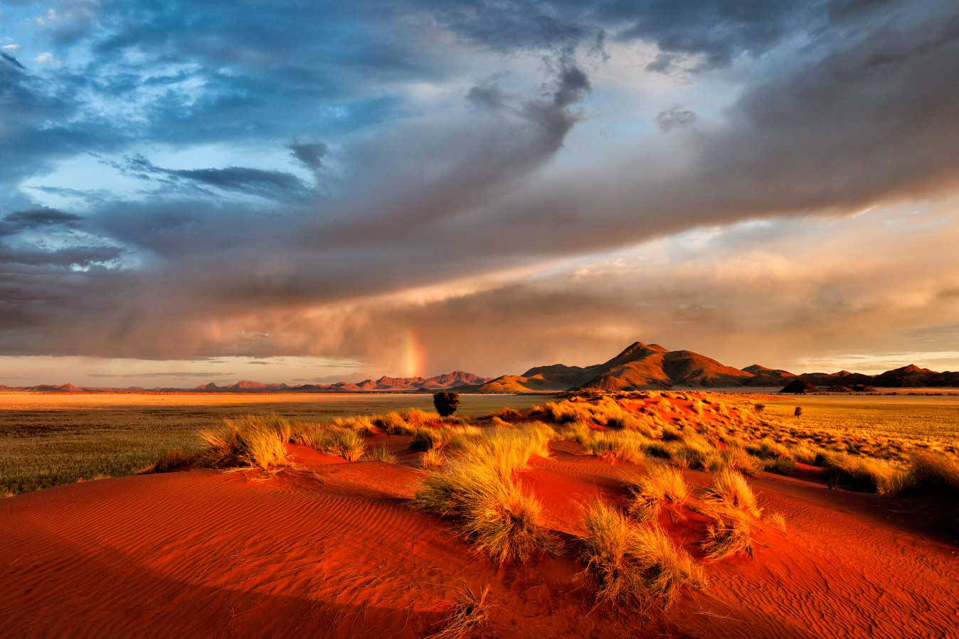Green Scenery Sky Arizona Desert Background