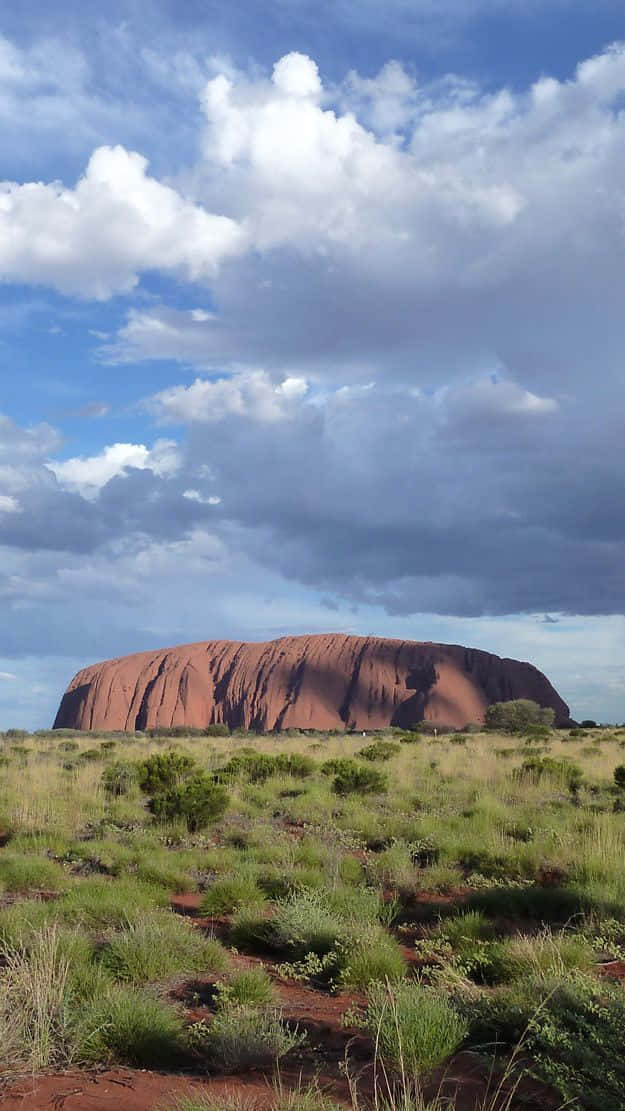 Green Shrubs Uluru Monolith Background