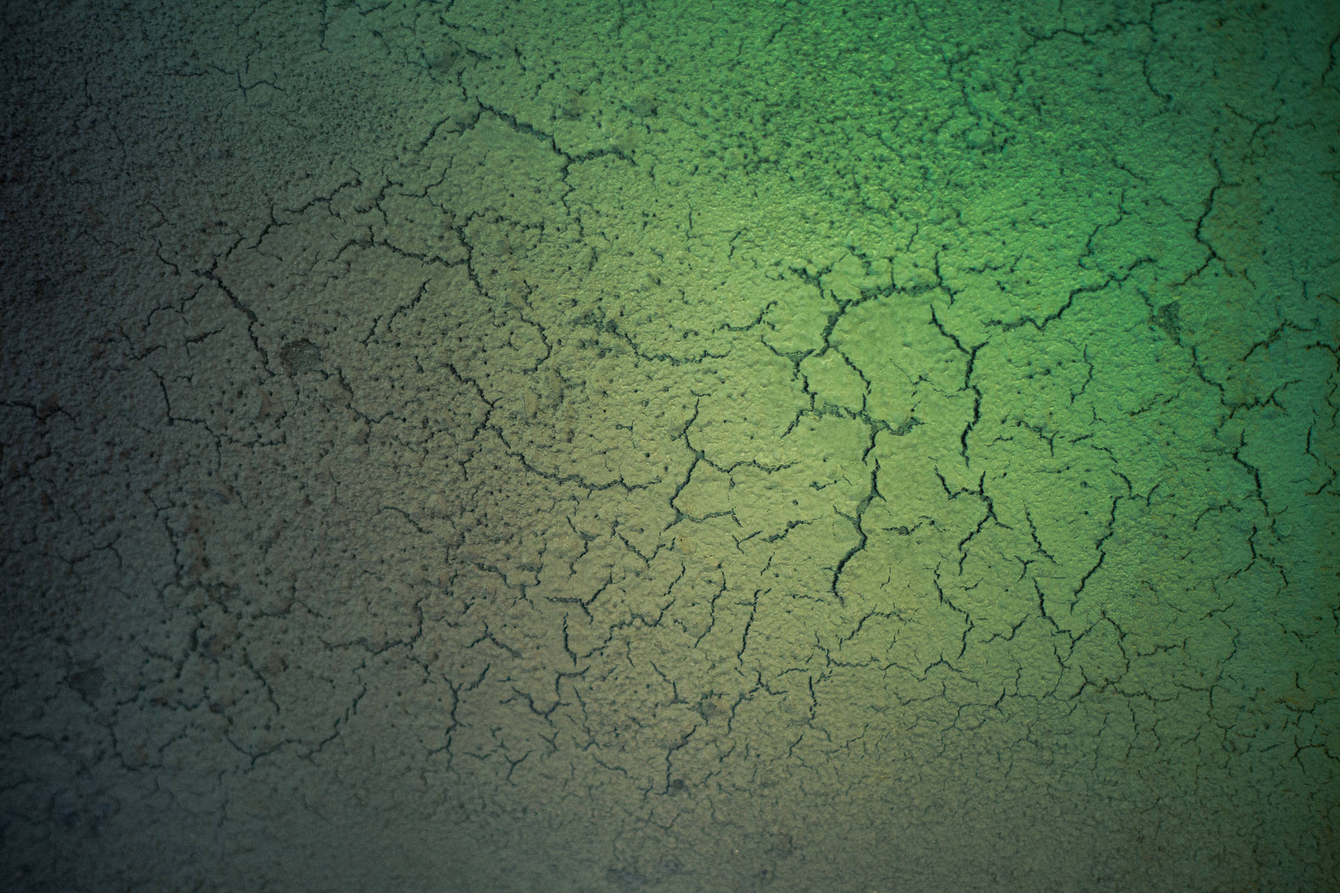 Green Soil Cracks Grunge Texture