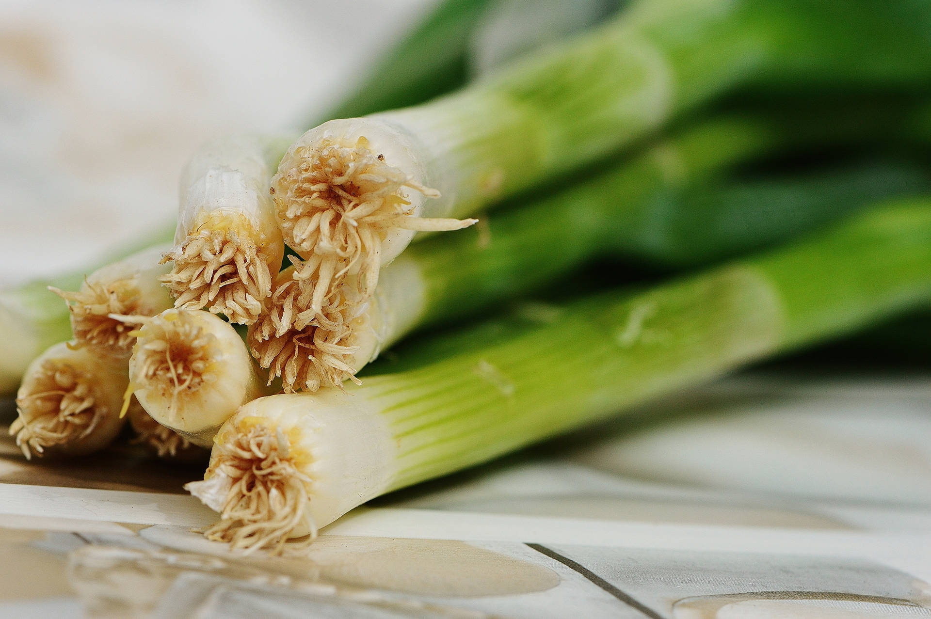 Green Spring Onions With Roots