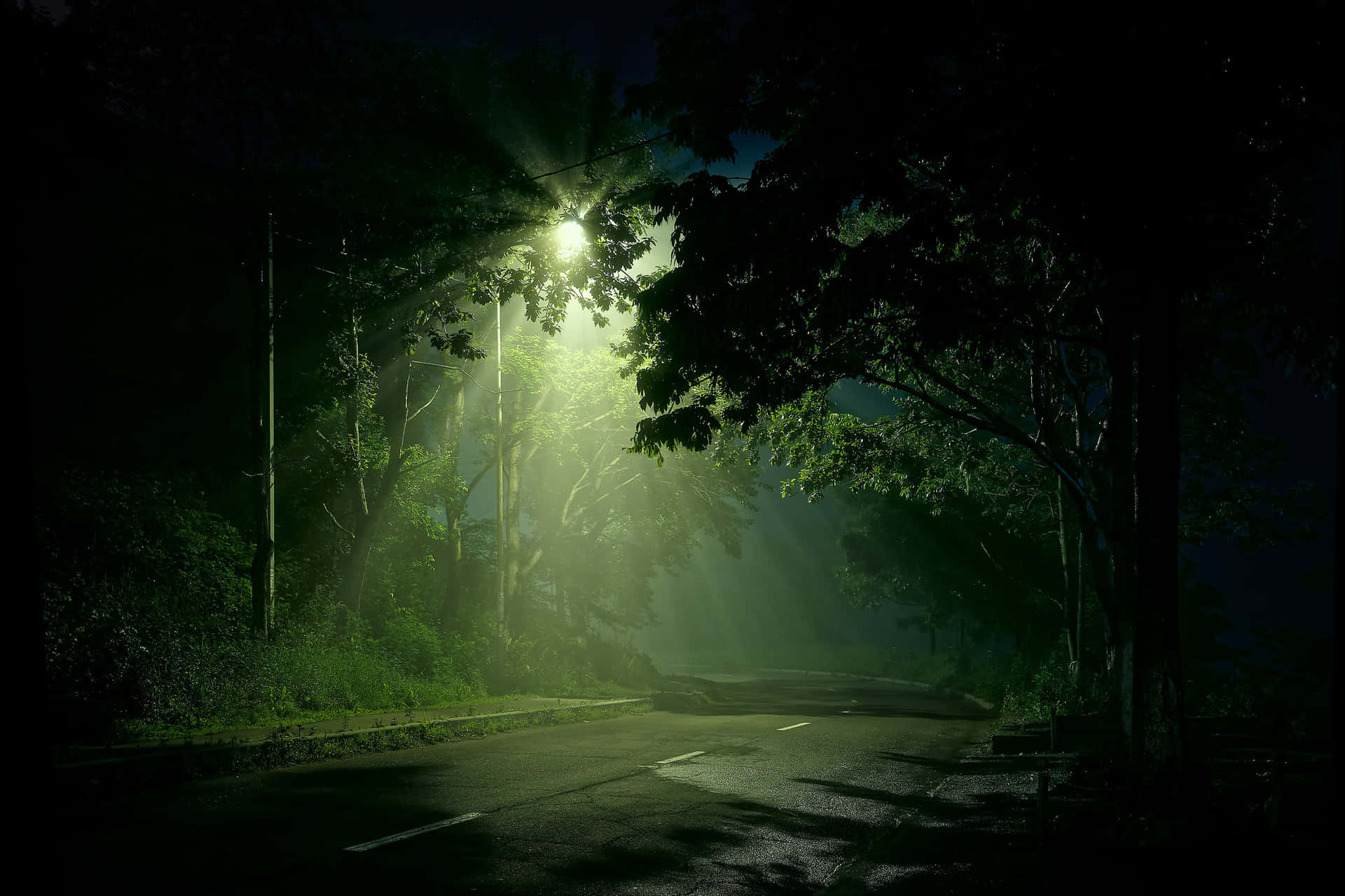 Green Street Light Background