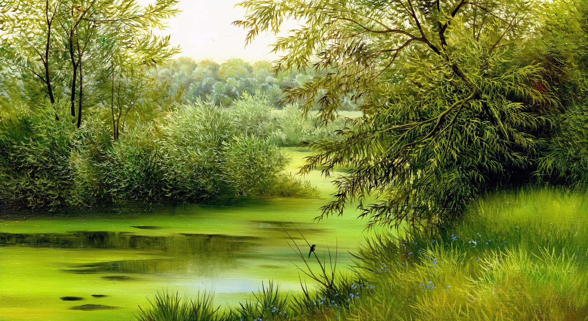 Green Swamp Nature Scenes Background