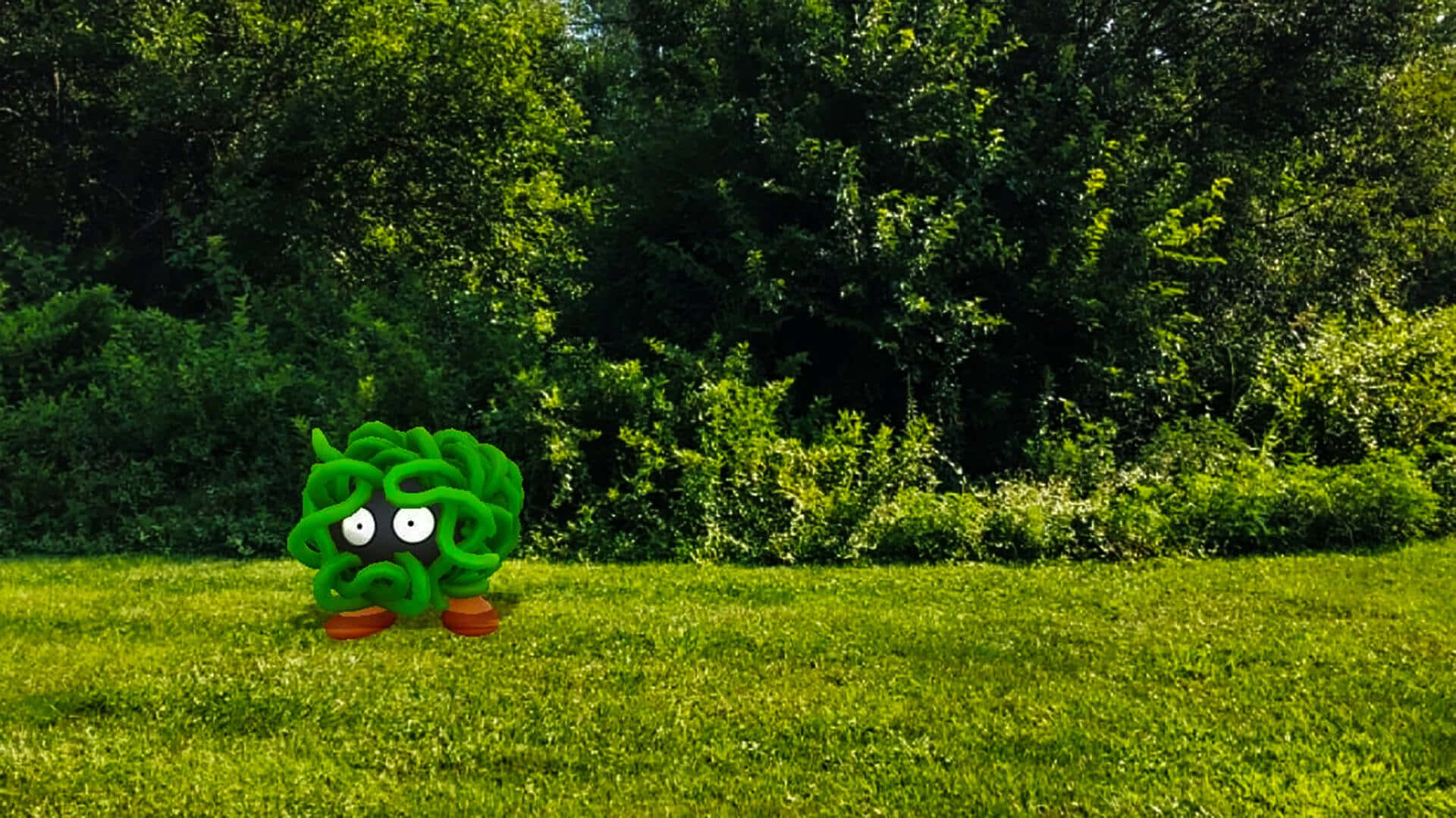 Green Tangela On Grass Background