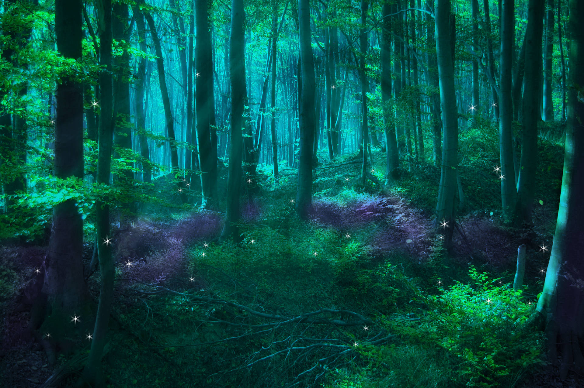 Green-tinted Enchanted Forest With Sparkles Background