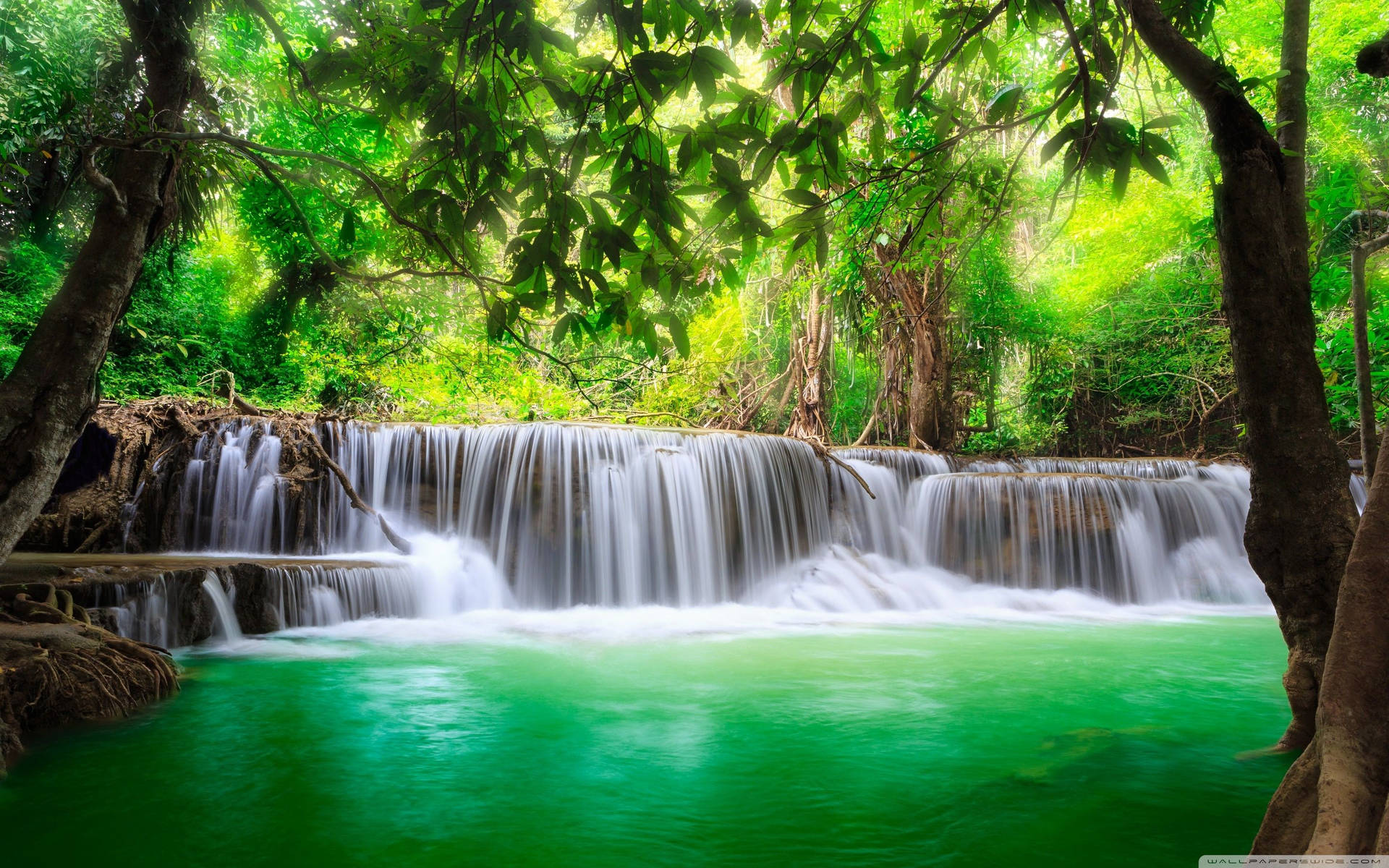 Green Tropical Waterfall Hd Background