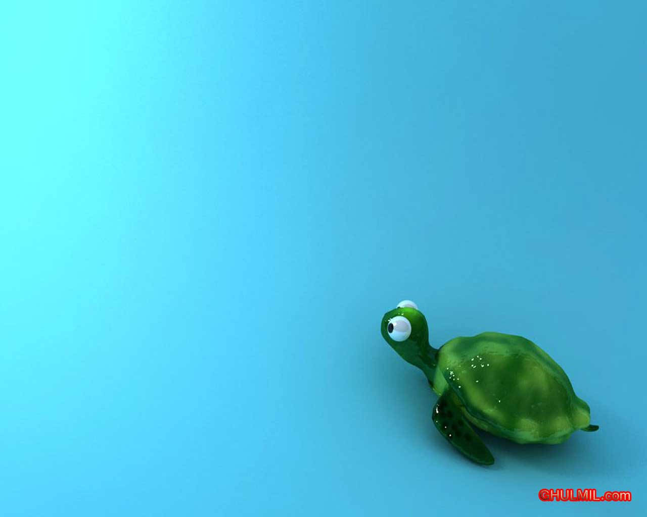 Green Turtle On Blue Surface Cute Computer Background