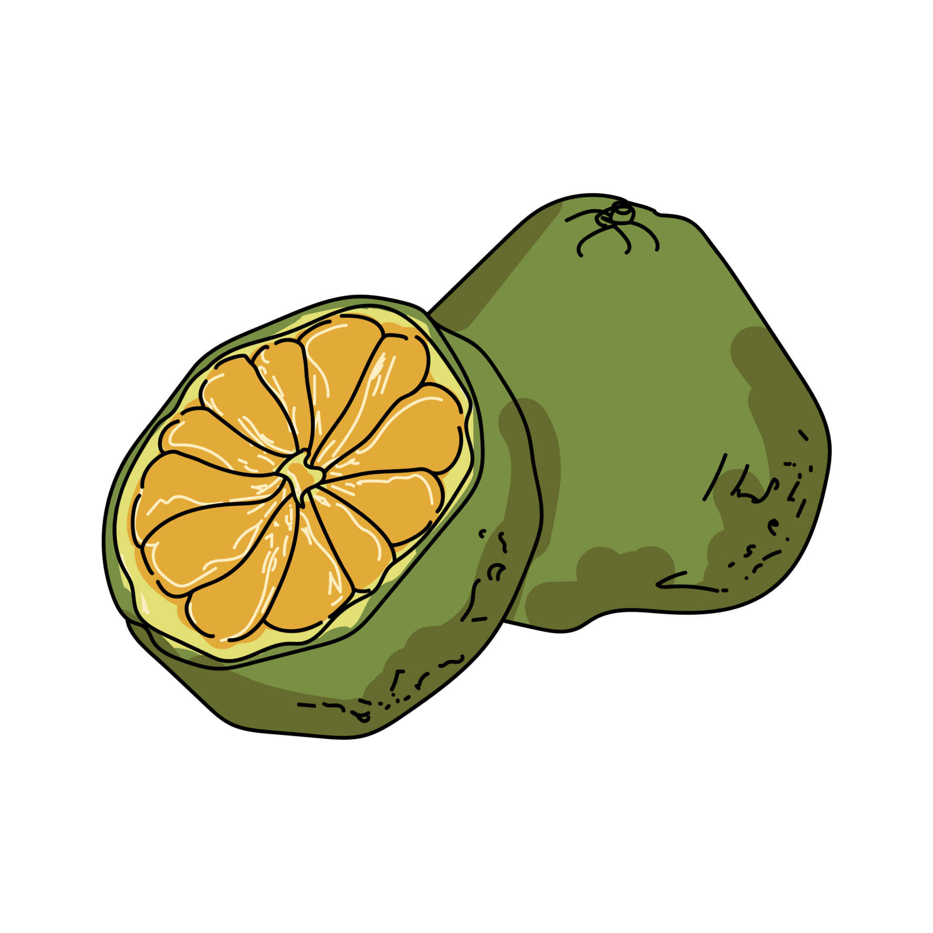 Green Ugli Citrus Fruits Digital Art Background
