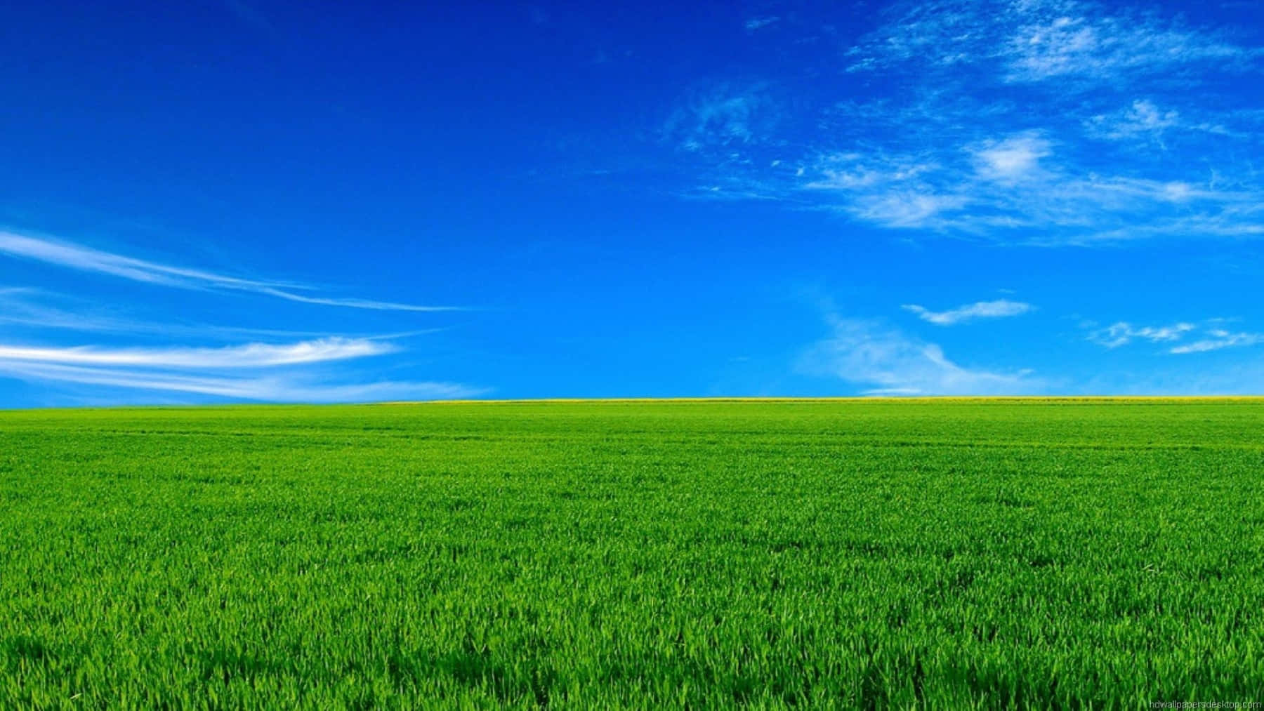 Green Valley Background Image