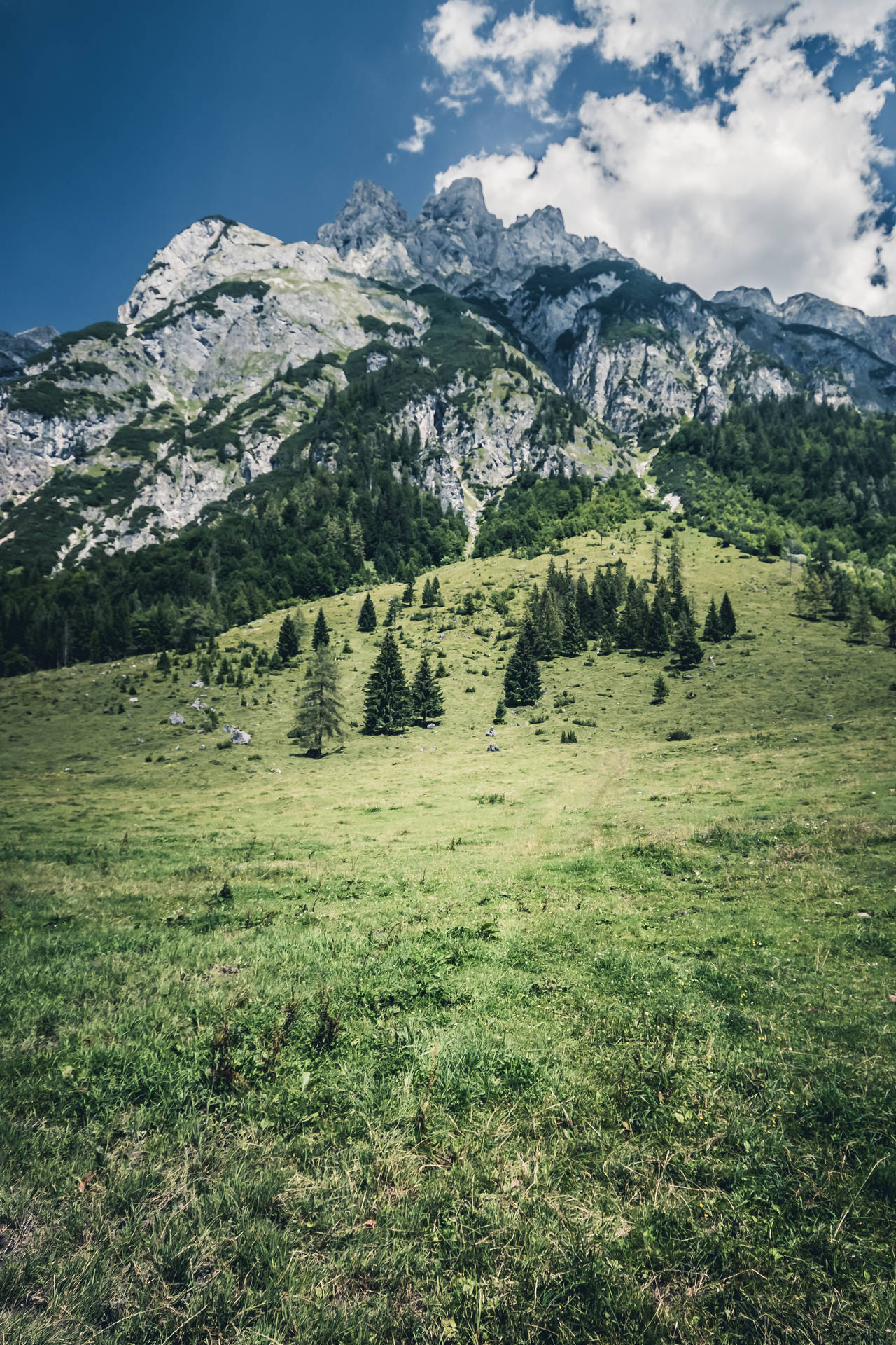 Green Valley In Austria Background