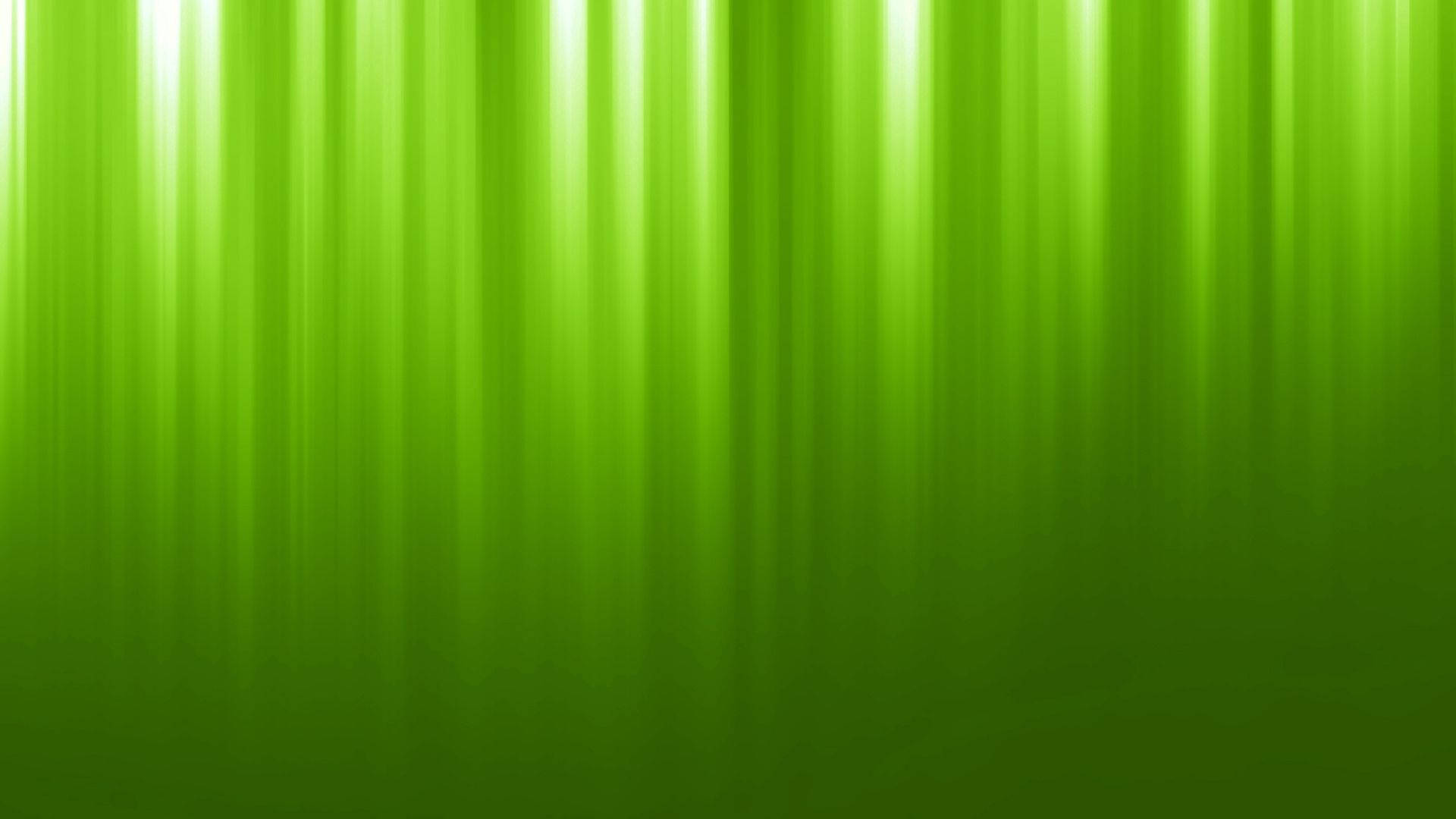 Green Vertical Lights Background