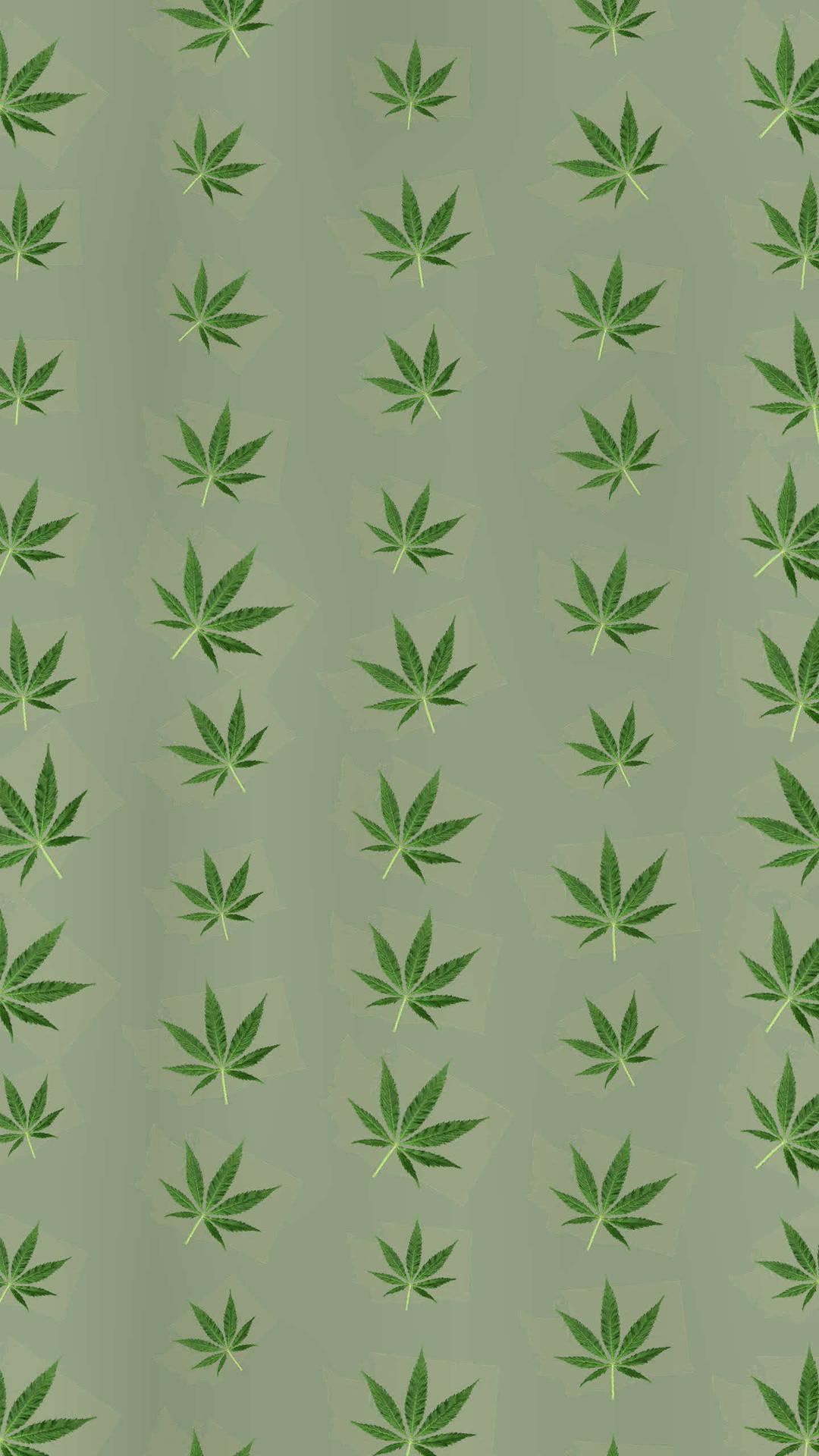 Green Weed Pattern For Iphone Screens Background