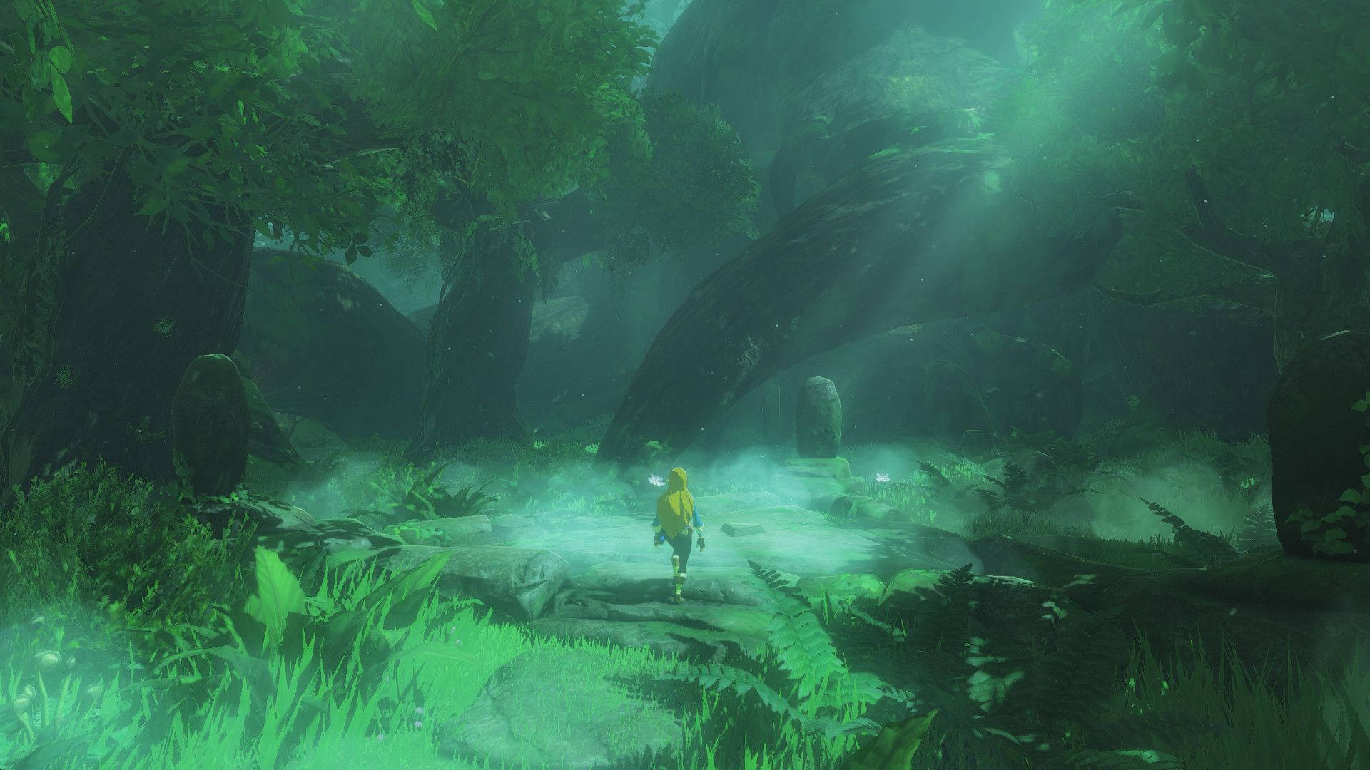 Green Wild Forest Zelda Background