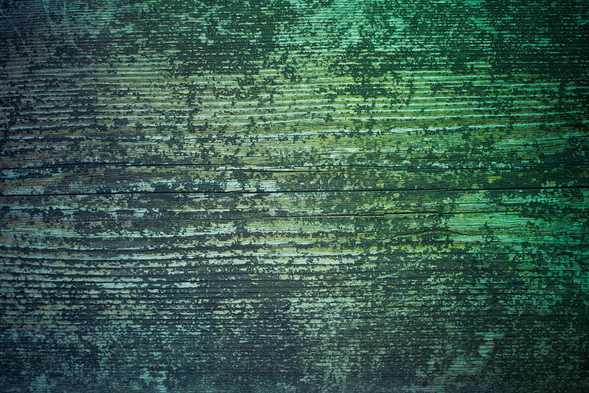 Green Wood Surface Grunge Texture Background