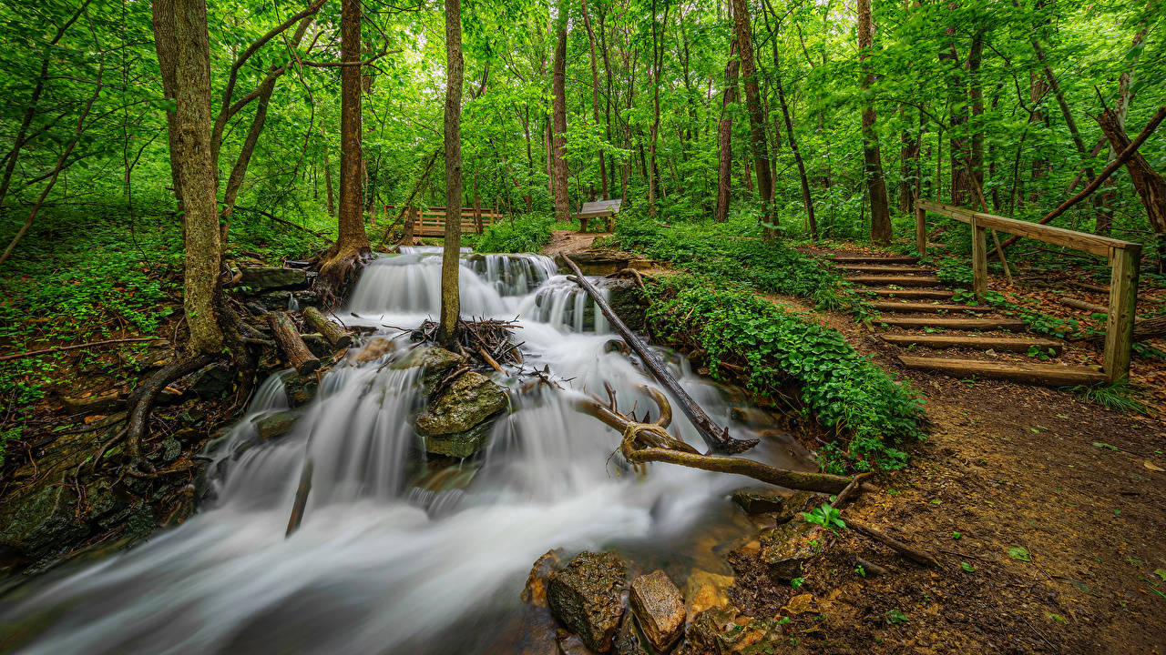 Greenery In Missouri Background