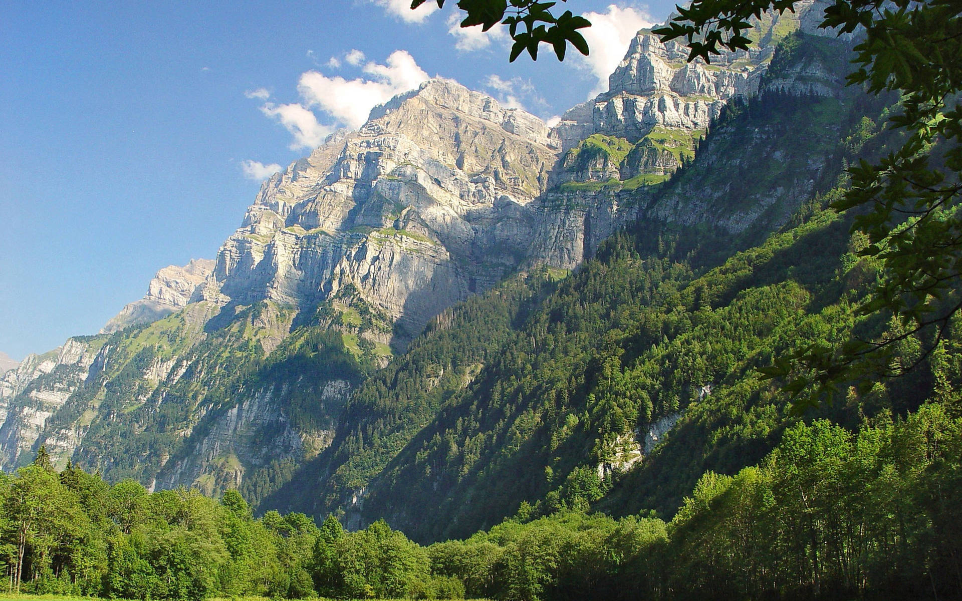 Greenery In The Mountains Background