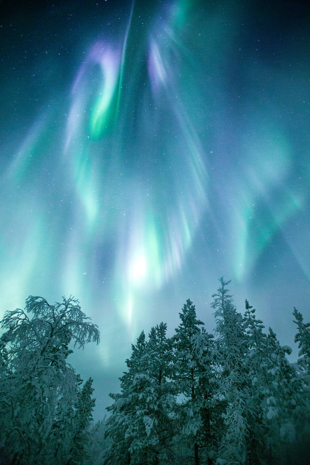 Greenish Purple Aurora Borealis Finland Background