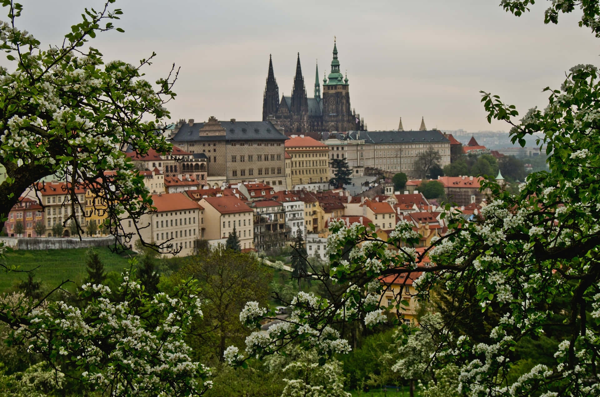 Greens At Prague Castle