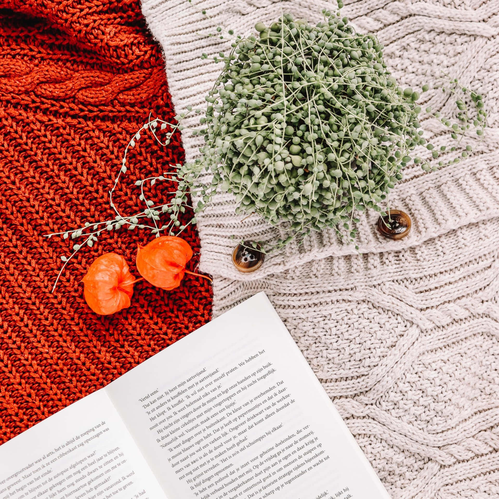 Gregarious Knitted Cloth Background