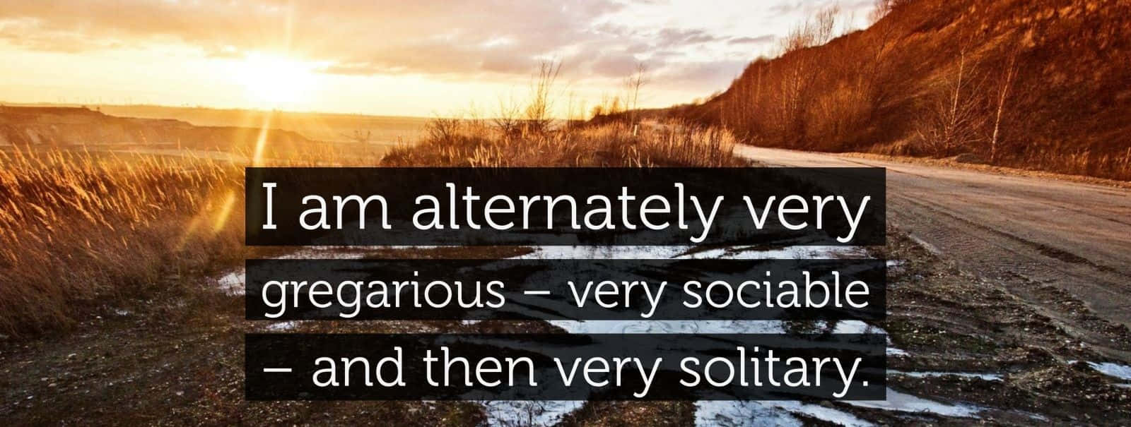 Gregarious Quote Against Sunset Background
