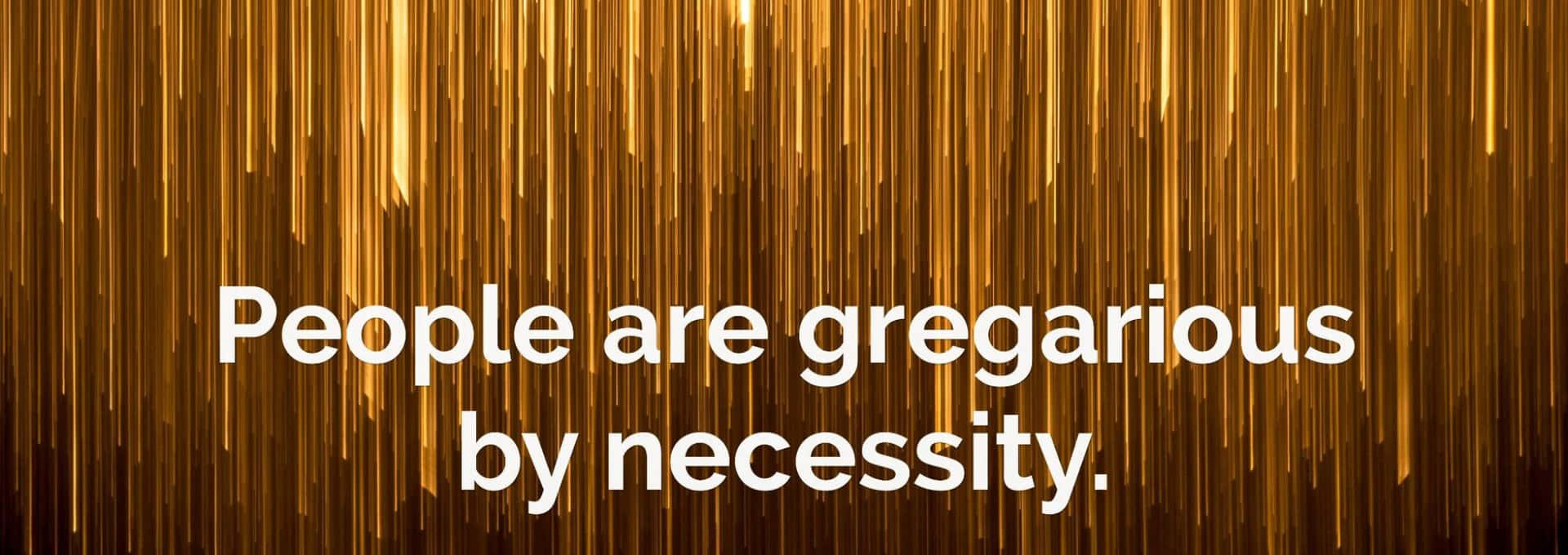 Gregarious Quote On Orange Curtains Background