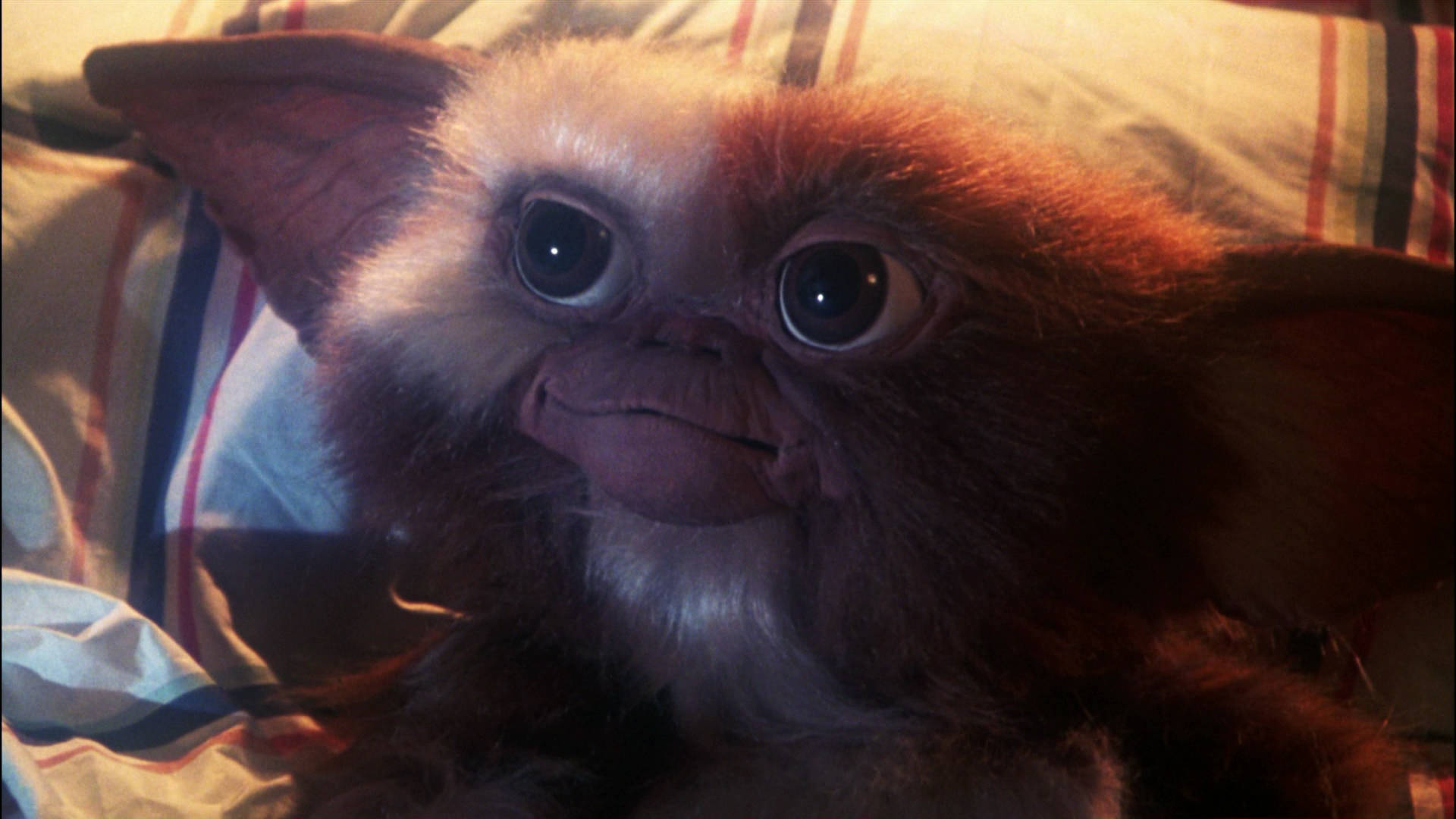 Gremlin From Gremlins Movie Looking Up Background