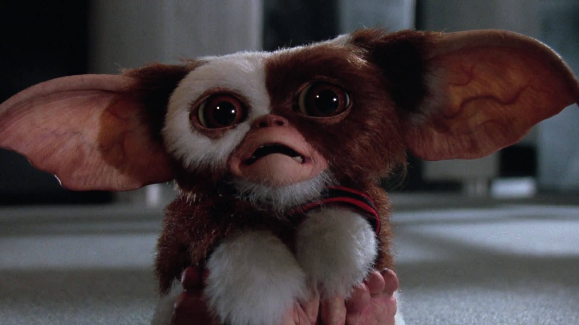 Gremlins 2 Background