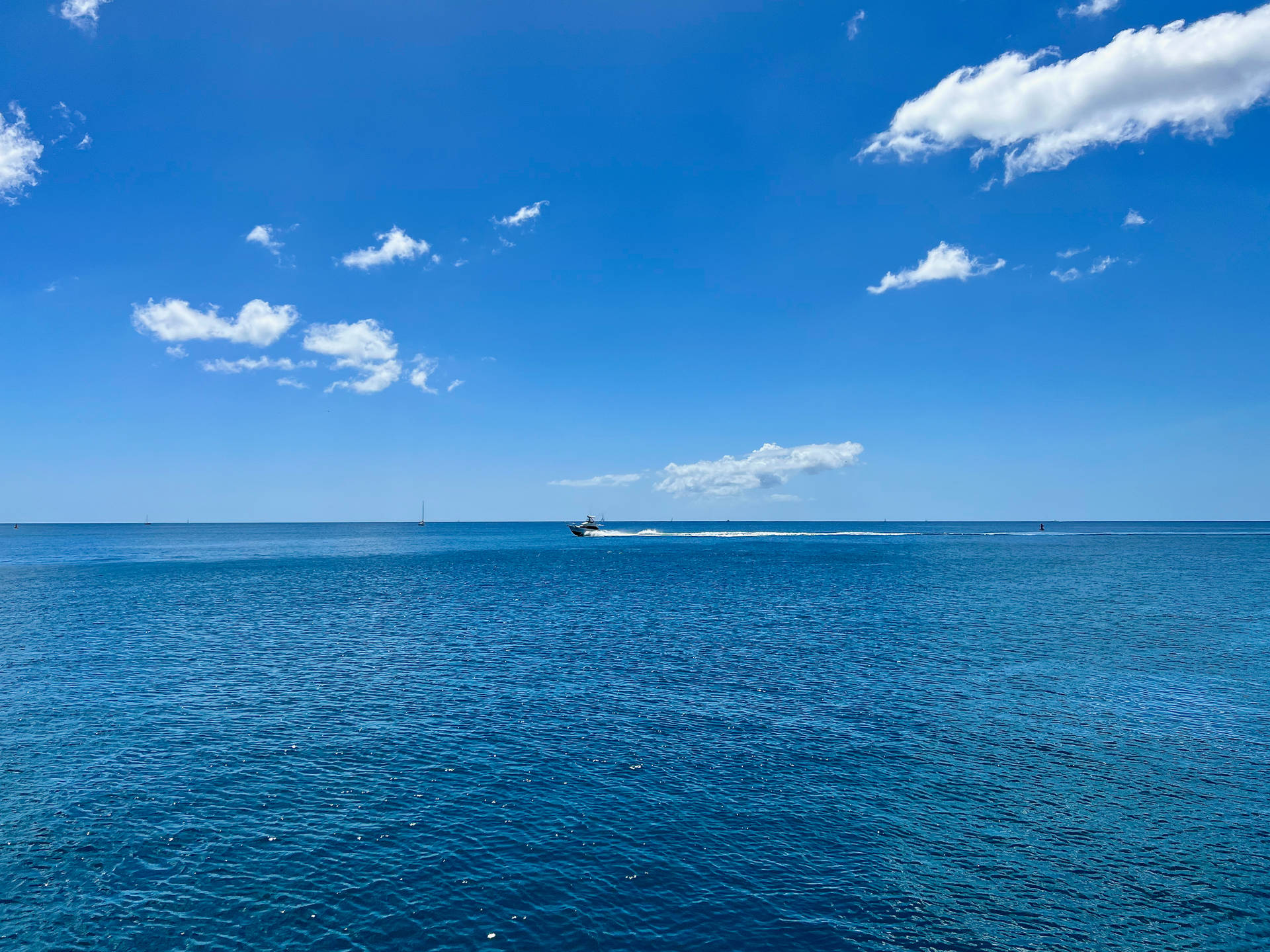 Grenada Speed Boat Background
