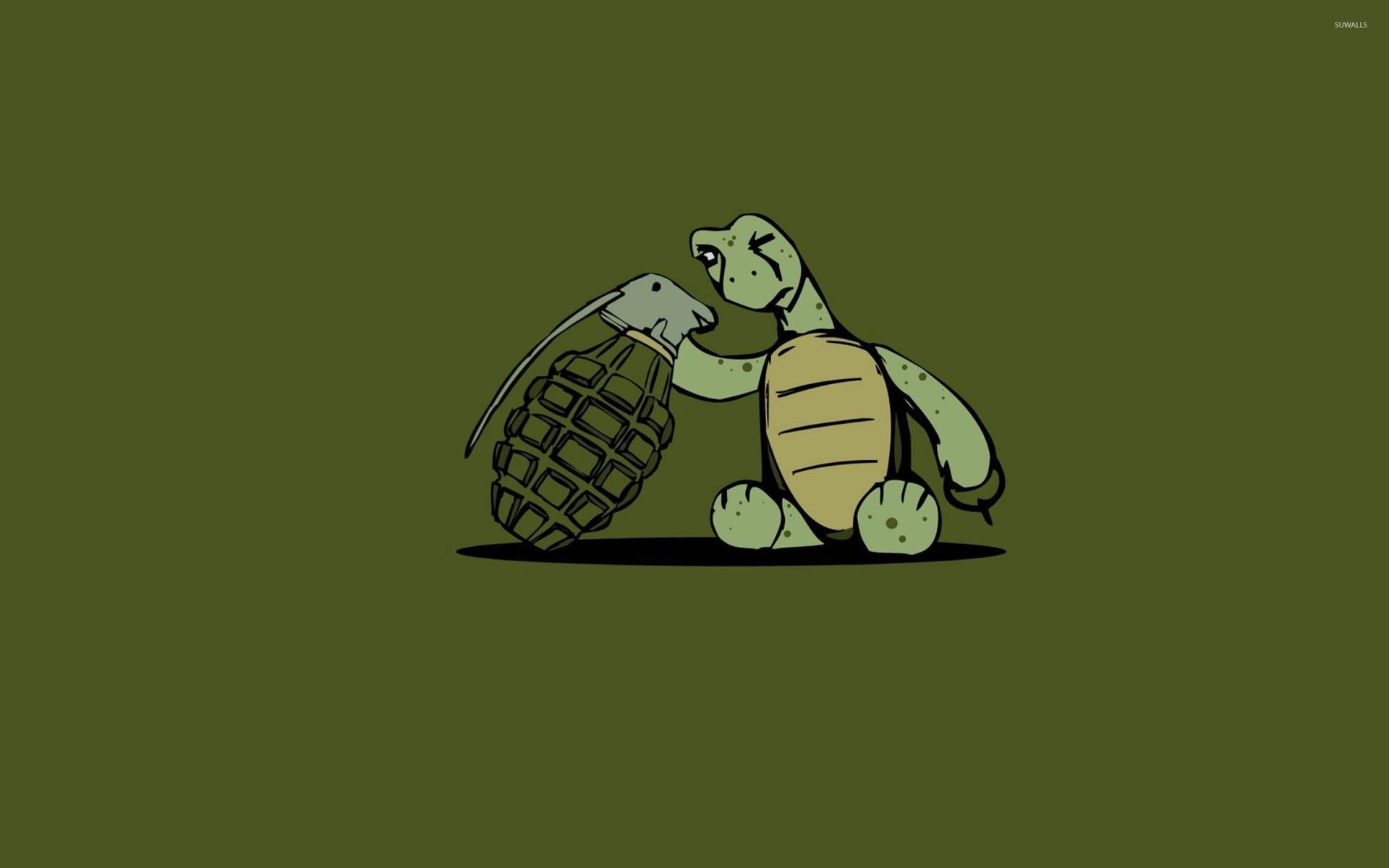 Grenade Cartoon Turtle Background