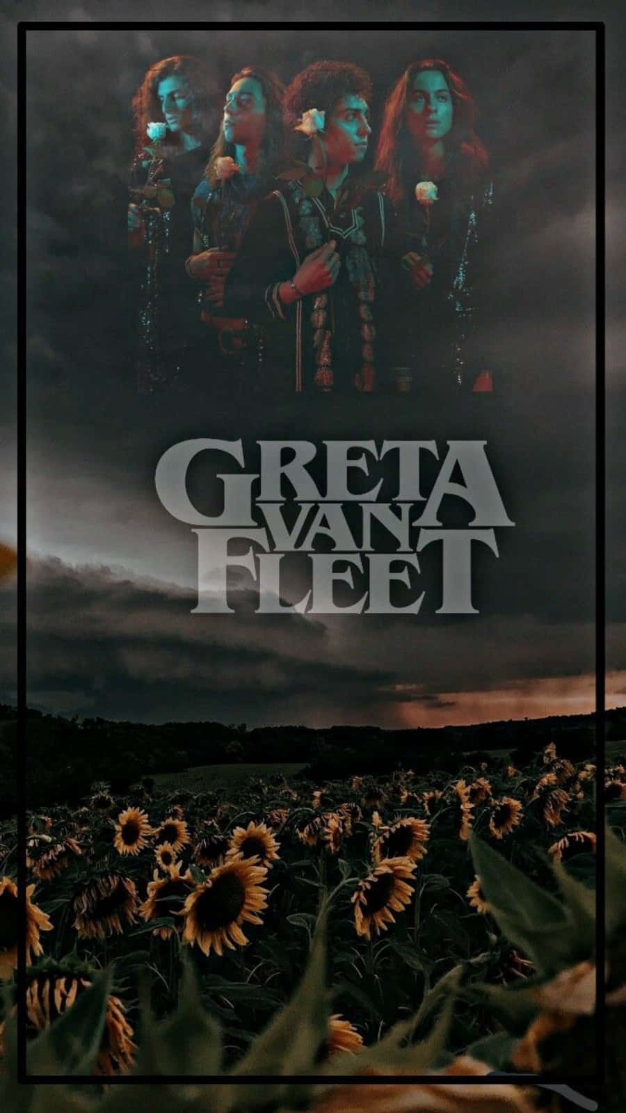 Greta Van Fleet Rock Band Sunflower Art Picture Background