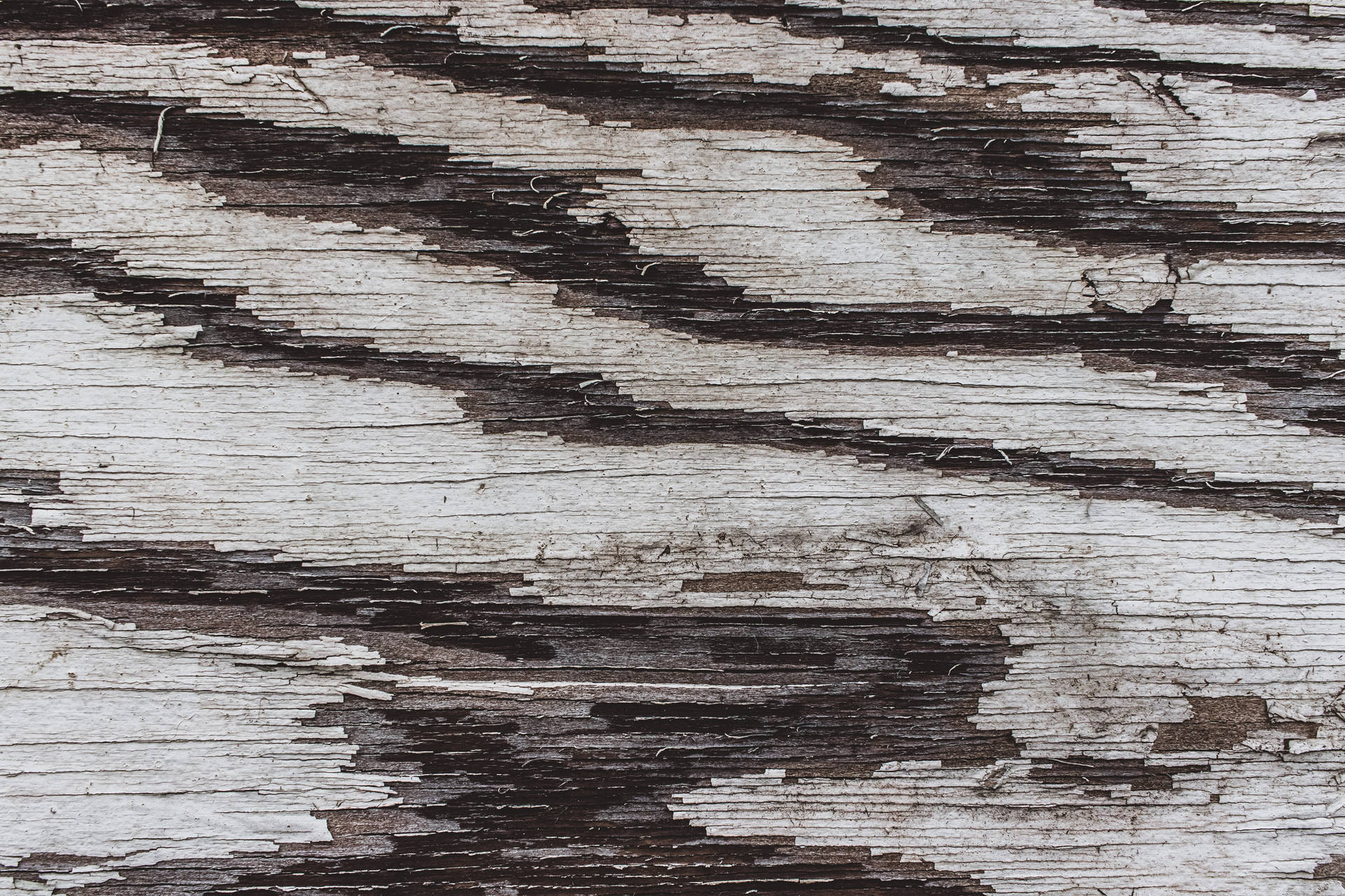 Grey And Black Textured Wood Background