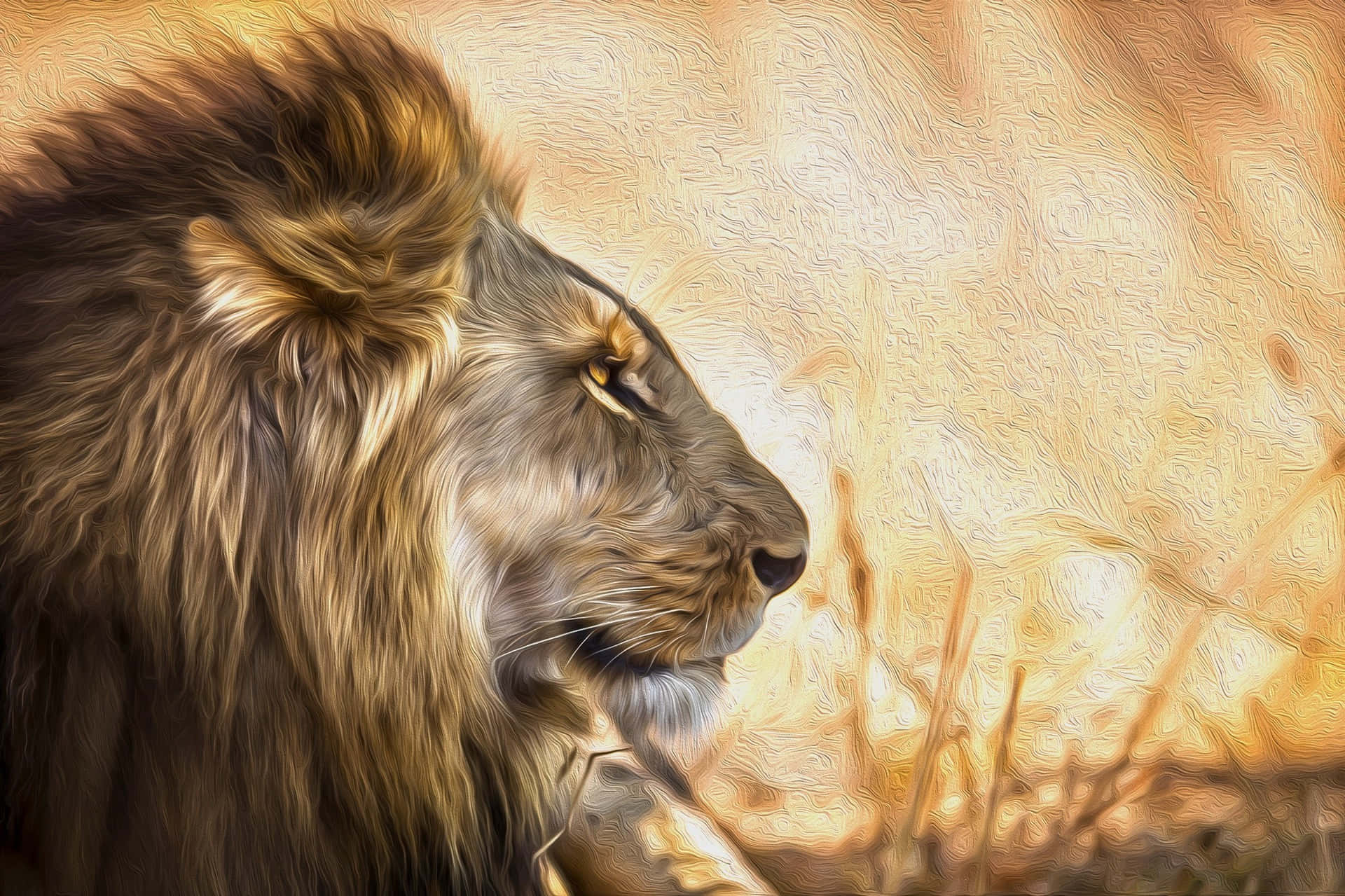 Grey And Brown Lion Face Background