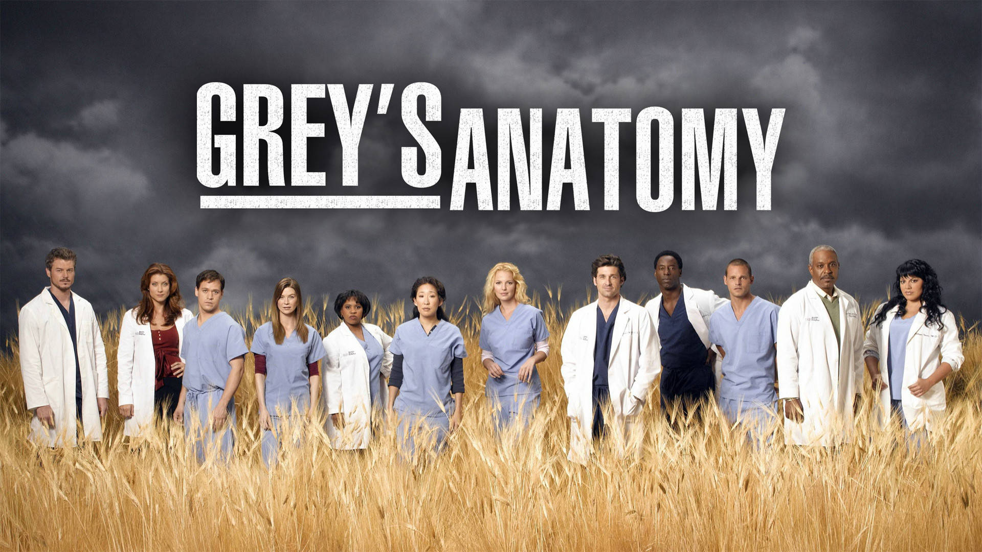 Grey's Anatomy Field Shoot Background