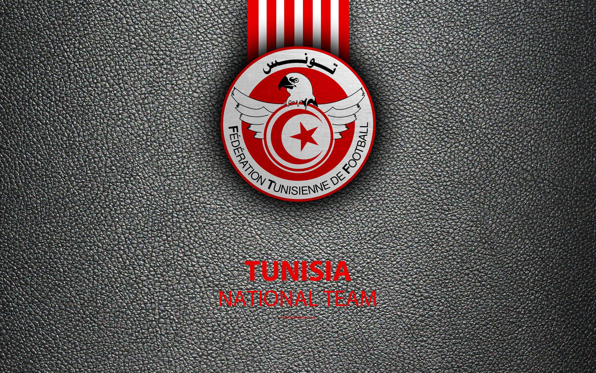 Grey Tunisia National Football Team Logo Background