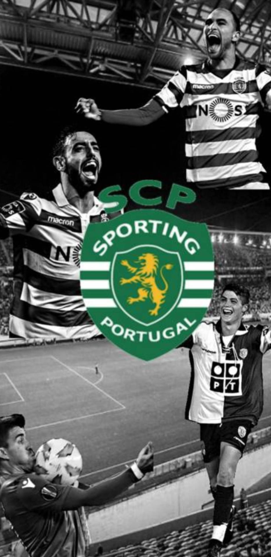 Greyscale Bruno Fernandes Sporting Cp