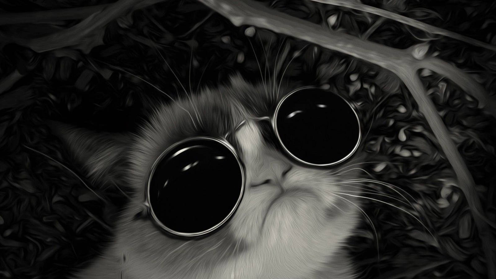 Greyscale Cool Cat Art Background