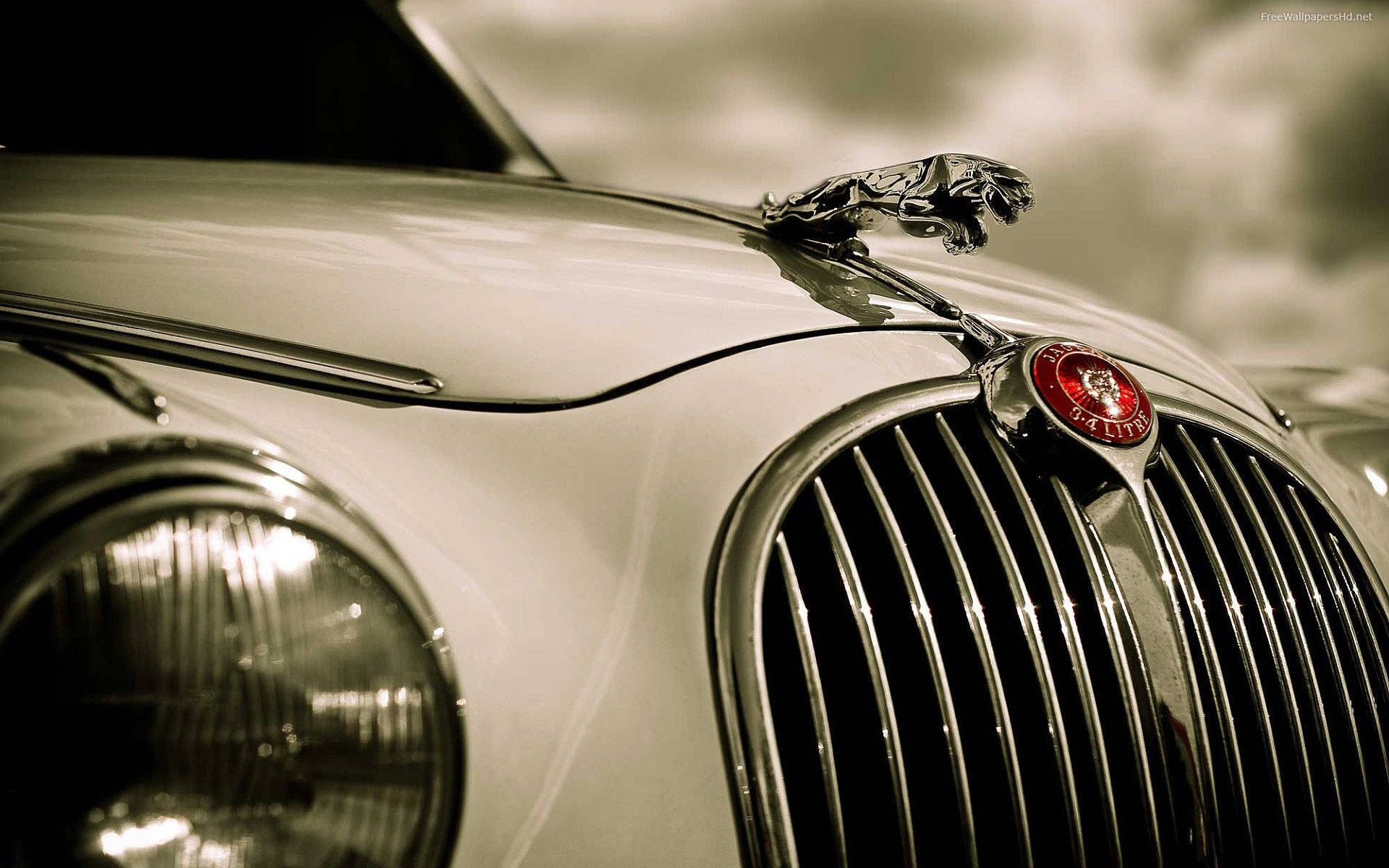 Greyscale Front Bumper Jaguar Car Background