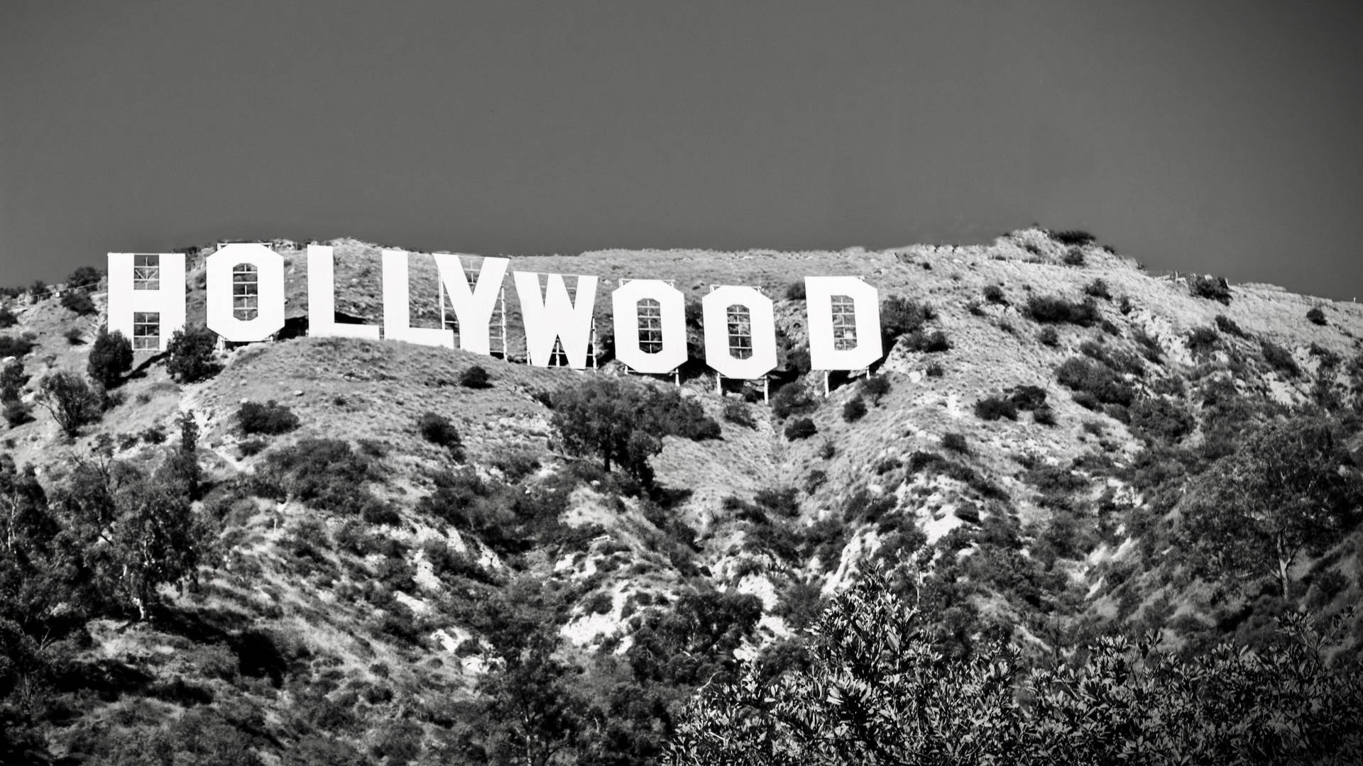 Greyscale Hollywood Sign Background