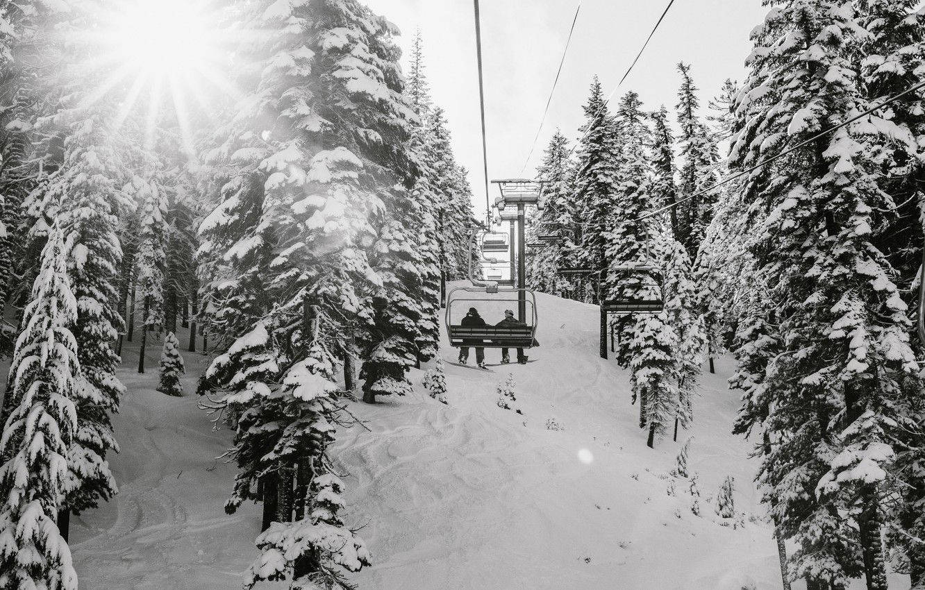 Greyscale Snow Park Winter Landscape